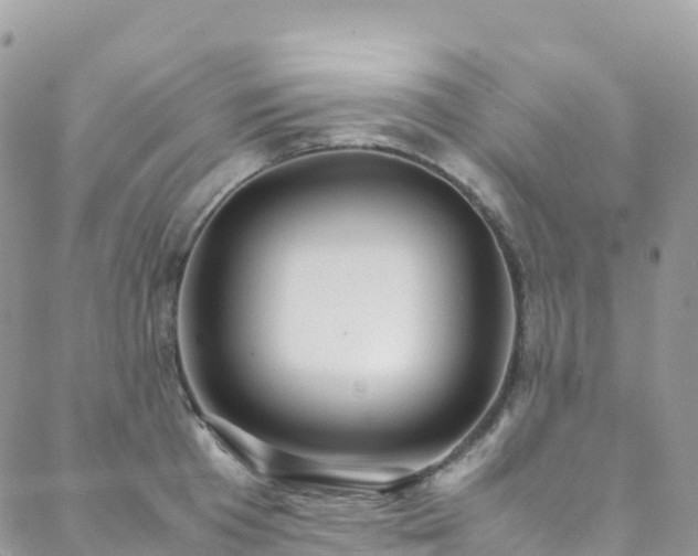 X0000088680801200705311206