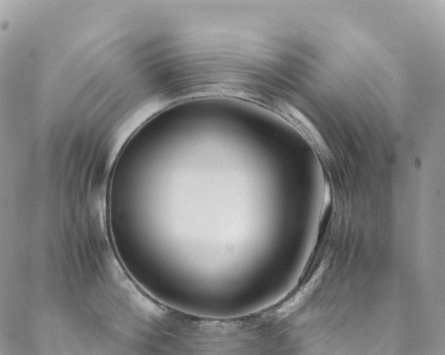 X0000088680812200705311206