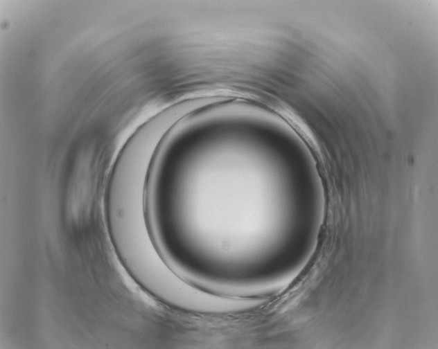 X0000088680813200705311206