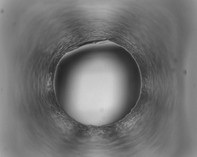 X0000088680818200705311205