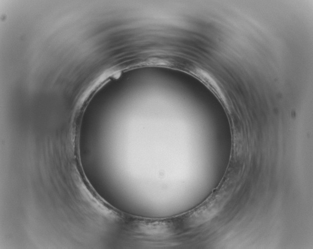 X0000088680851200705311206