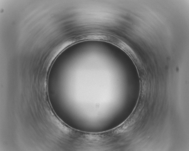 X0000088680852200705311206