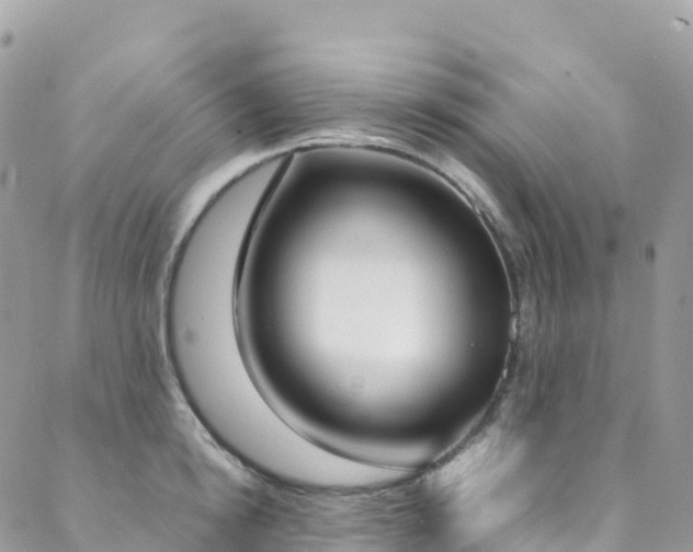 X0000088680854200705311206
