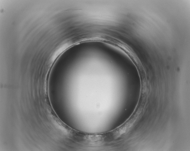 X0000088680858200705311206