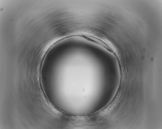 X0000088680862200705311206