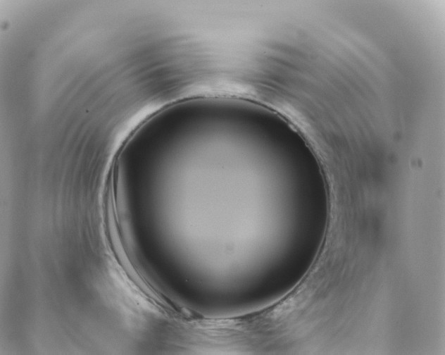 X0000088680864200705311206
