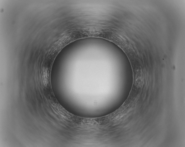X0000088680866200705311205