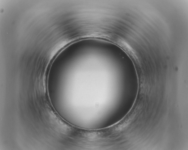 X0000088680892200705311205