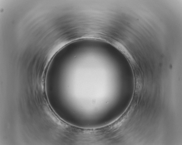 X0000088680908200705311205
