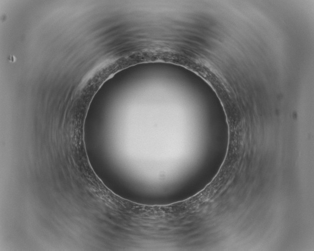 X0000088680919200705311204