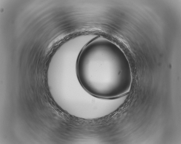 X0000088680920200705311204