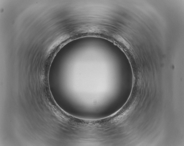 X0000088680922200705311204