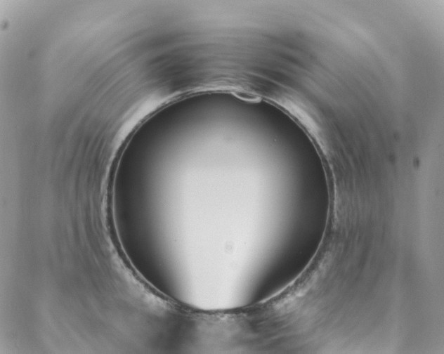X0000088680949200705311204