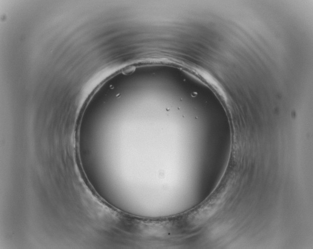 X0000088680951200705311204