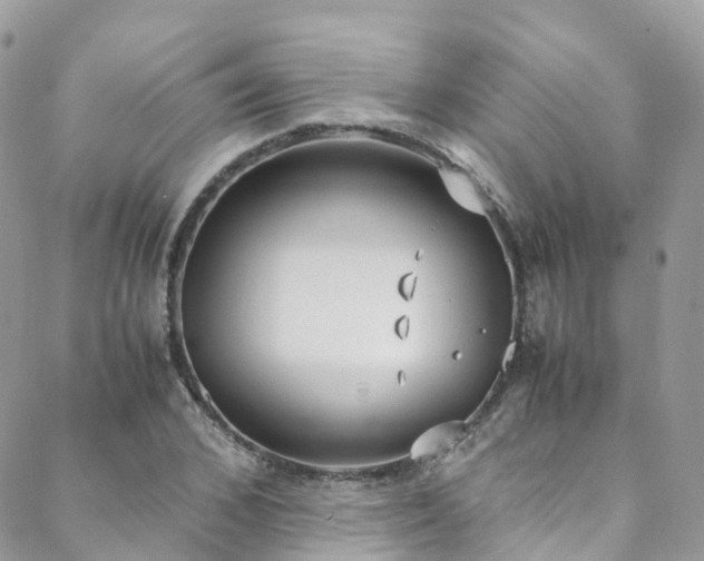 X0000088680976200705311204