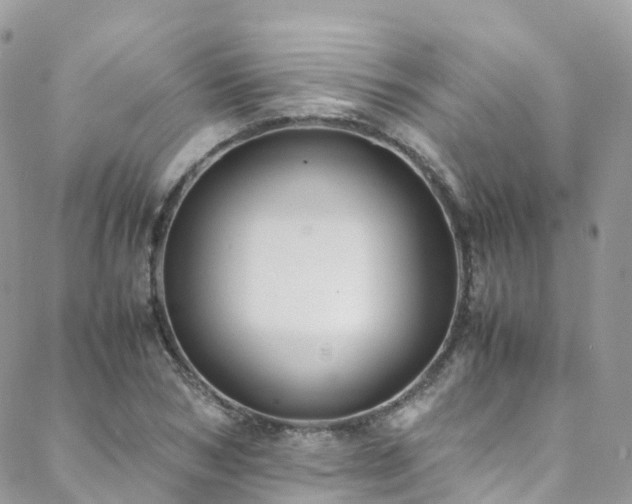 X0000088680978200705311204