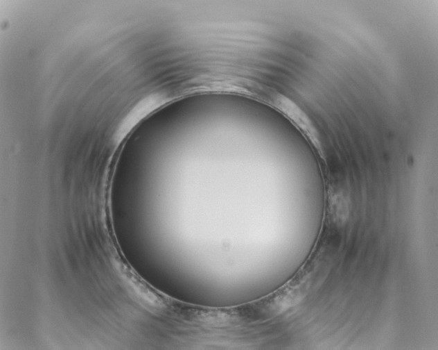 X0000088681002200705311203