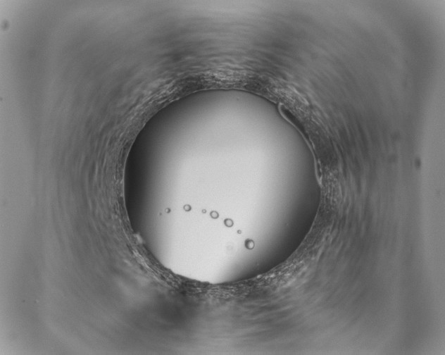X0000088681009200705311202