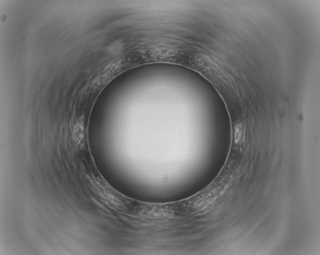 X0000088681011200705311202