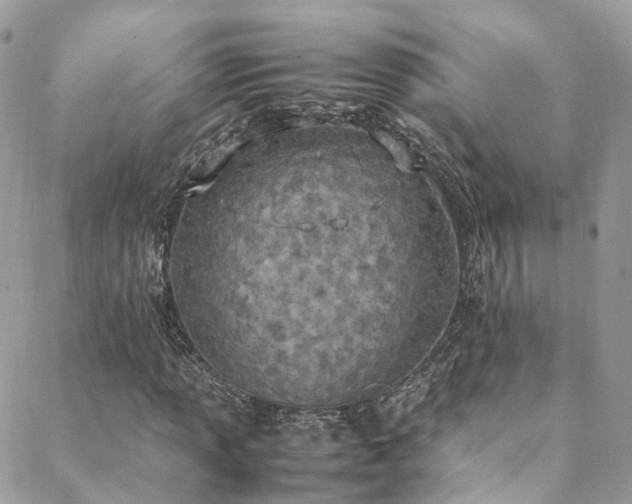 X0000088681013200705311202