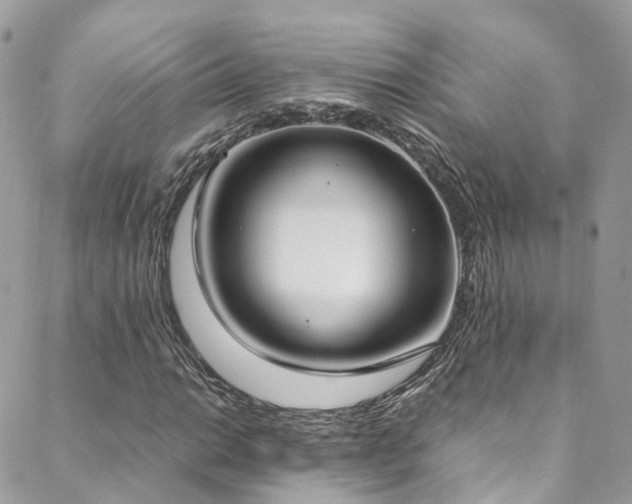 X0000088681014200705311202