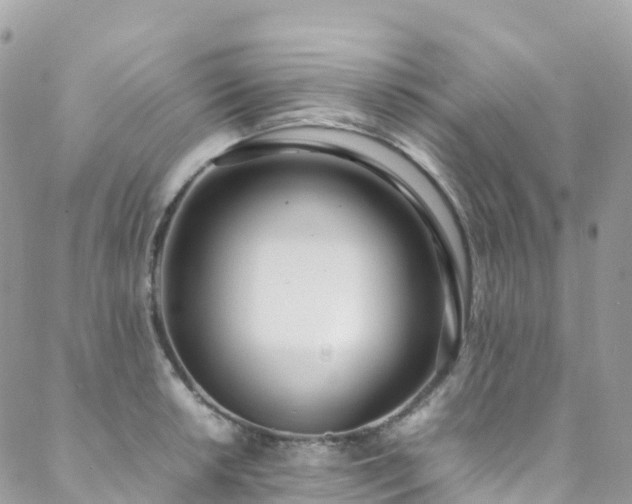 X0000088681042200705311203