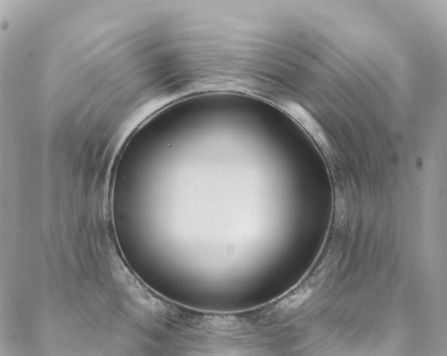 X0000088681052200705311203