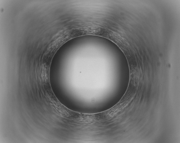 X0000088681058200705311202