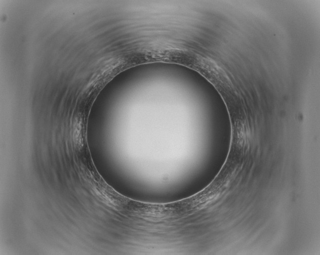 X0000088681060200705311202