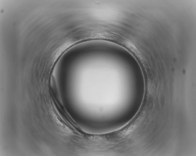 X0000088681089200705311202