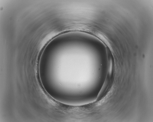 X0000088681093200705311202