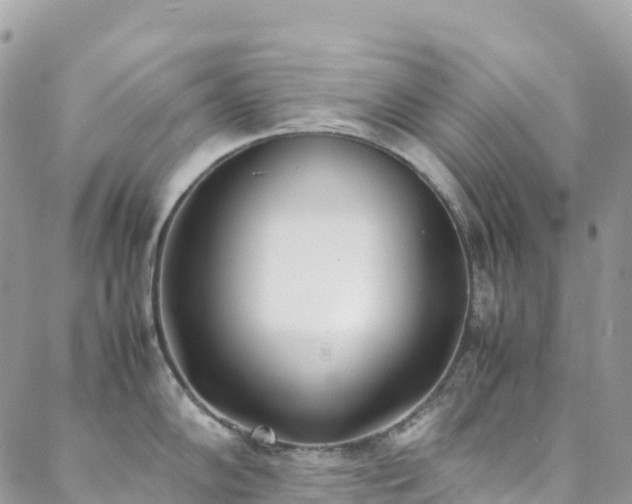 X0000088681102200705311201