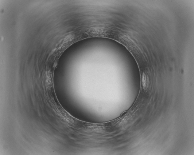 X0000088681107200705311201