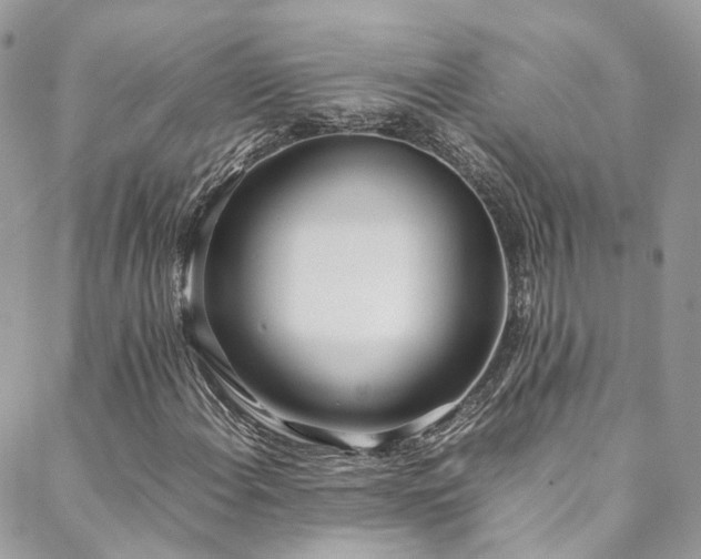 X0000088681108200705311201