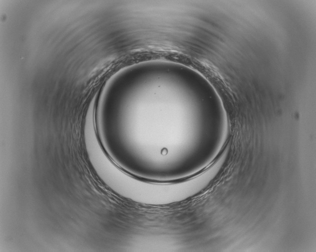 X0000088681110200705311201