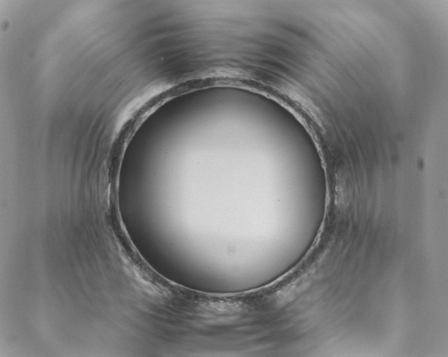 X0000088681117200705311201