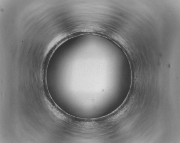 X0000088681122200705311201