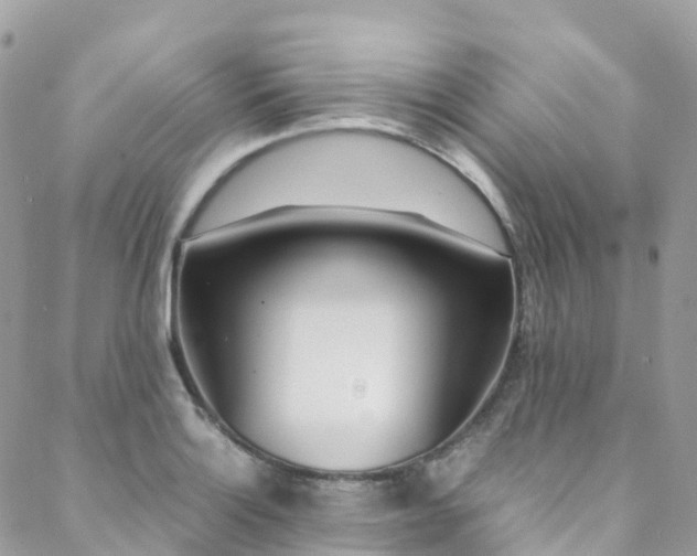 X0000088681132200705311201