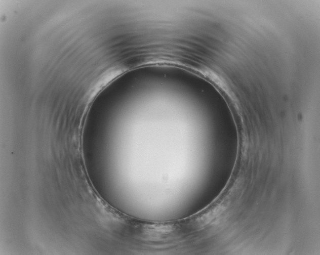 X0000088681145200705311201
