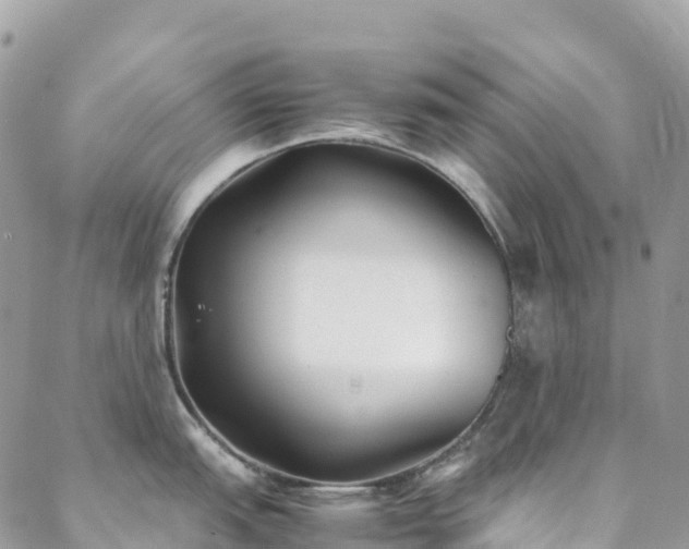X0000088681151200705311201