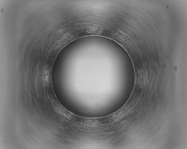 X0000088681154200705311201
