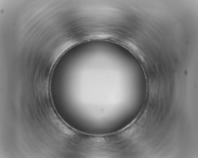 X0000088681186200705311200