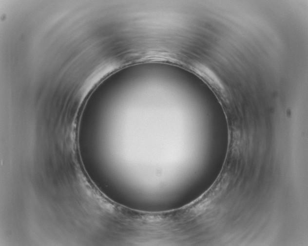 X0000088681190200705311200