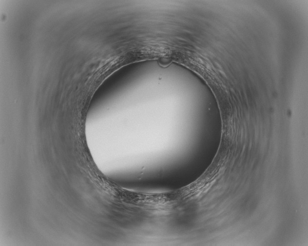 X0000088681201200705311159