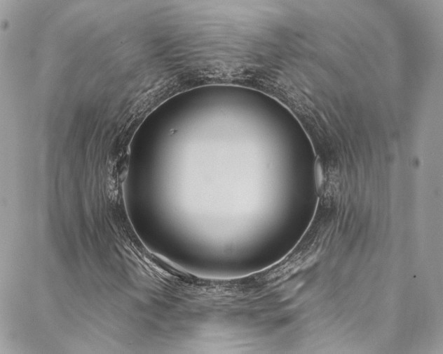 X0000088681202200705311159