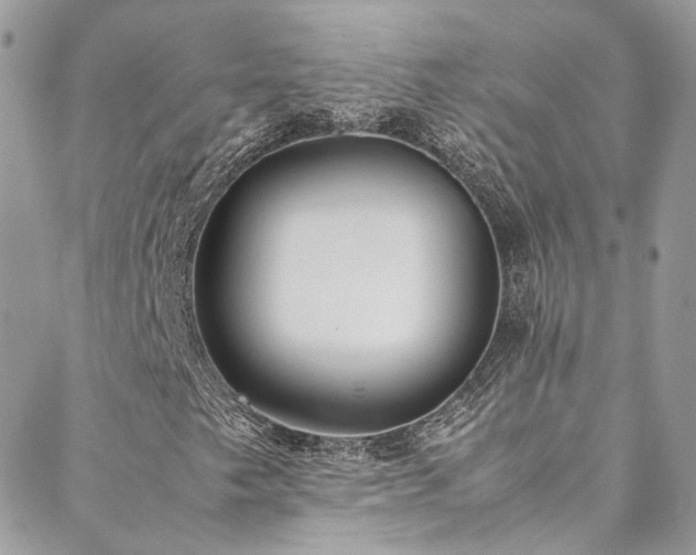 X0000088681249200705311159