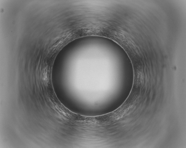 X0000088681250200705311159
