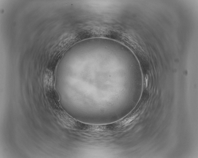 X0000088681251200705311159