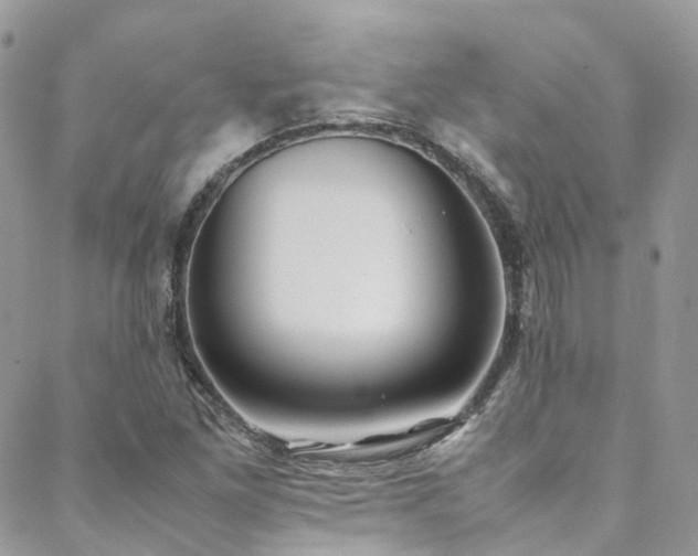 X0000088681261200705311159