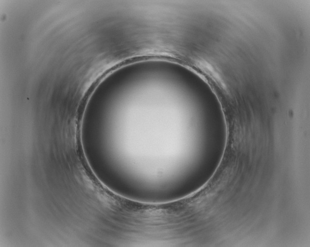 X0000088681268200705311159